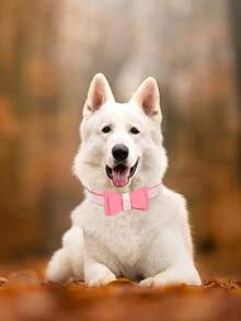 Rhinestone & Bow Decor Pet Collar - Pink - View 4