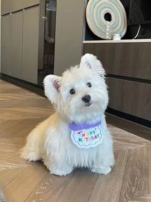 1入組絨球裝飾寵物帽子和1入組標語繡花寵物圍兜 - 紫色 - 查看 11