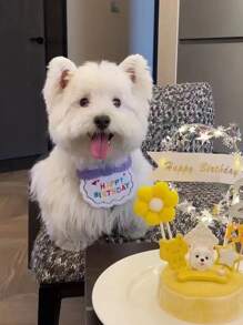 1入組絨球裝飾寵物帽子和1入組標語繡花寵物圍兜 - 紫色 - 查看 12