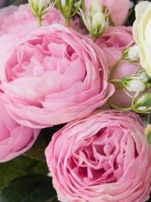 1 Strauß/3 Sträuße künstliche Pfingstrosen gemischte Blumen Hochzeitsdekoration Brautstrauß Zubehör, Klassenzimmer/Zuhause/Garten/Partydekoration, Valentinstag, Geschenk - Pink - Übersicht 2