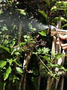 1入組花園噴槍，鋅合金手持花園噴壺