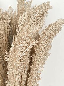 1 cây cỏ đuôi mèo giả bằng nhựa thân đơn, cây cỏ đuôi mèo màu kaki tối giản lãng mạn cho gia đình, đám cưới, tiệc tùng, hoạt động ngoài trời, hoa nhân tạo, 28,7 inch - Màu Khaki - Xem 6