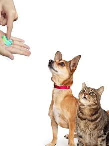 24pcs Color Block Cat Teaser Toy, Cat Interactive Toys - Multicolor - View 3