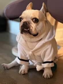 1pc Two Tone Pet Pajama - White - View 5