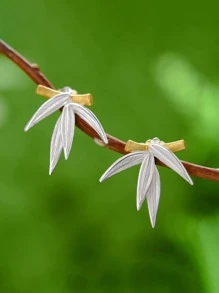1雙吊墜竹子樹葉耳釘適合女士S925純銀母親節情人節精細女士們首飾類禮品