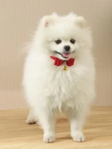 1pc Bow Decor Pet Collar - Red - View 2