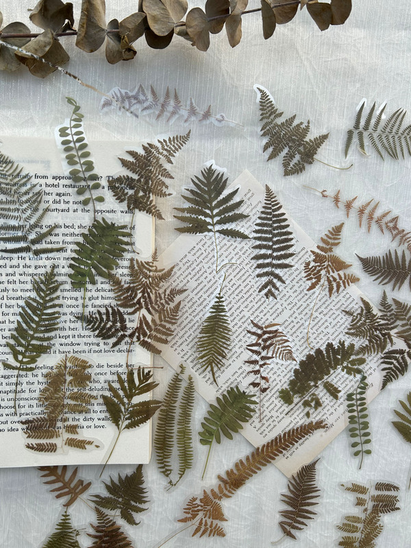 40入組葉子圖案貼紙