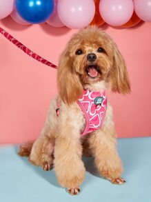 2pcs Heart Print Pet Leash & Harness Set - Multicolor - View 1