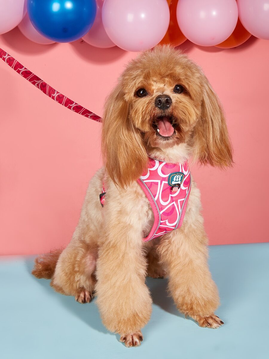 2pcs Heart Print Pet Leash & Harness Set - Multicolor - View 1