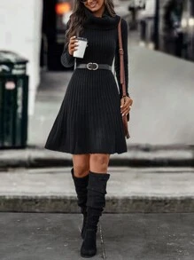 SHEIN Unity Turtleneck Ribbed Knit Jumper Dress Without Belt - Black - View 5