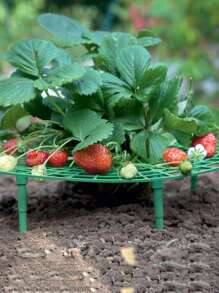 1pc Strawberry Stand Strawberry Plant Support Strawberry Growing Racks Strawberry Growing Frame - Green - View 2