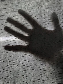 Manfinity Mode 男士素色前排扣襯衫