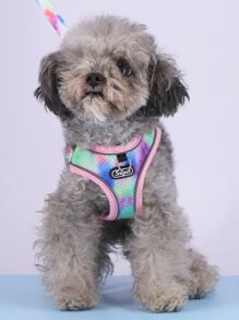 Supet 2pcs Tie Dye Pet Leash & Harness Set