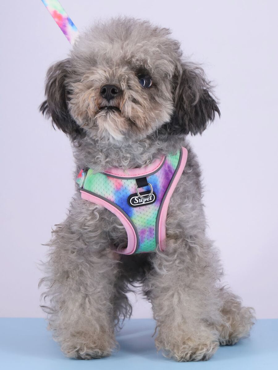 Supet 2pcs Tie Dye Pet Leash & Harness Set