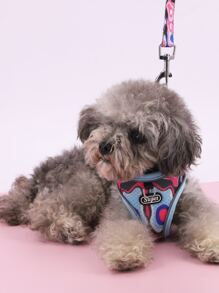 Supet 2pcs Color Block Pet Leash & Harness Set - Multicolor - View 2