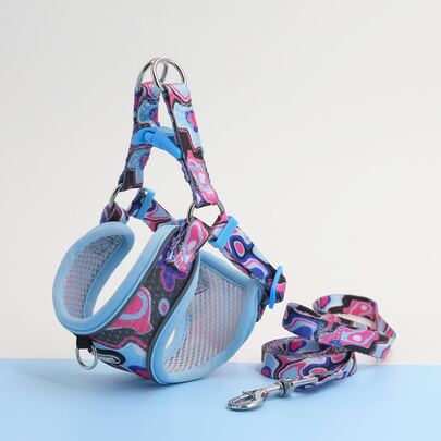 Supet 2入組撞色寵物牽引繩和安全帶套裝