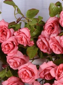 Nejlue Artificial Flowers/Plants1111 Home & Living 1 件人造玫瑰藤假悬挂花卉常春藤绿植仿藤条背景适用于家庭装饰、教室、办公室、秋季装饰、房间、书桌、花园装饰、房间婚车装饰、门楣拱门装饰、家庭、餐厅、卧室、有盖前廊楼梯、生日派对装饰材料、阳台、秋千架、购物中心、壁炉架、门、新年情人节和新年圣诞节礼物冬季装饰品 - 粉色 - 查看 2