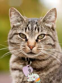 1 pieza Identificador para mascotas con diseño de gato - Multicolor - Ver 2