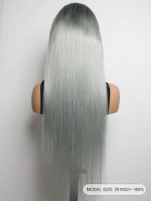 Transparent Lace Long Straight Wig 13 X 4 Lace Front Wig Remy Human Hair Wig With Baby Hair Wig Gray Color - Grey - View 4