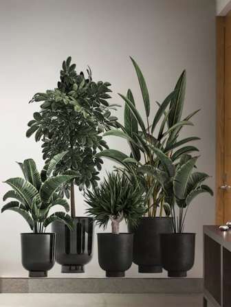 2入組植物圖案牆貼