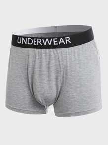 Extended Sizes Men 5pcs Letter Tape Waist Boxer Brief - Multicolor - View 6