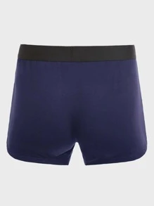 Extended Sizes Men 5pcs Letter Tape Waist Boxer Brief - Multicolor - View 10