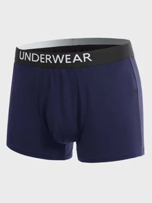 Extended Sizes Men 5pcs Letter Tape Waist Boxer Brief - Multicolor - View 15