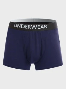 Extended Sizes Men 5pcs Letter Tape Waist Boxer Brief - Multicolor - View 16