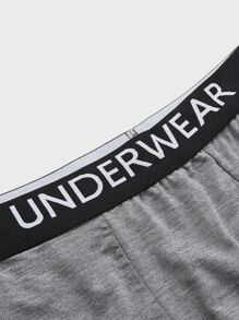 Extended Sizes Men 5pcs Letter Tape Waist Boxer Brief - Multicolor - View 18