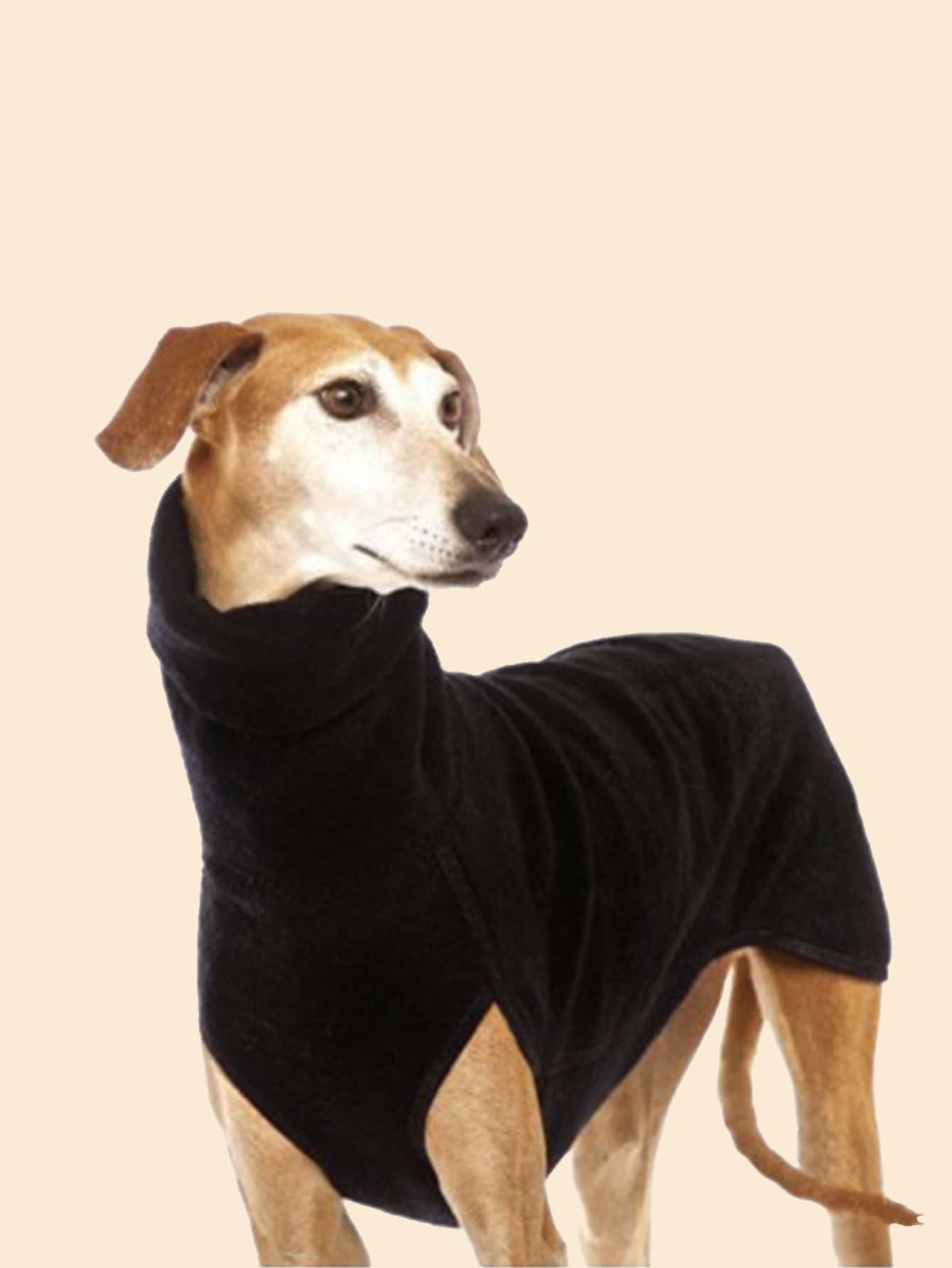 1pc Solid Pet Sweatshirt, Autumn Winter Thick Pet Vest - Black - View 1