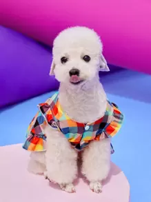 PETSIN 1 pieza Vestido de mascota con estampado de cuadros de color combinado ribete con fruncido