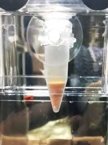 1pc Clear Suction Cup Fish Feeder - Clear - View 6