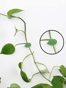 10入組樹葉形狀植物夾 - 綠色 - 查看 5