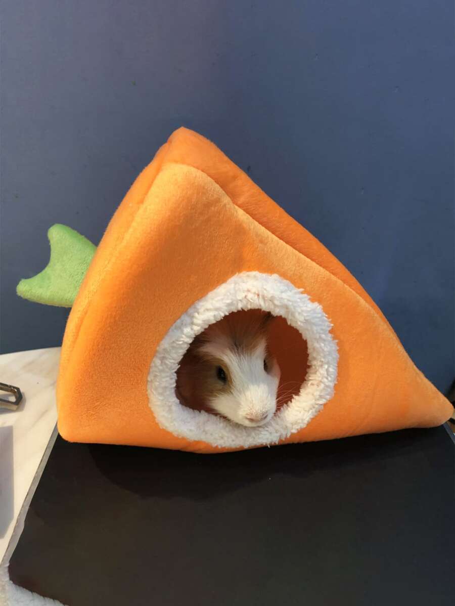 1pc Carrot Design Pet Bed - Orange - View 1