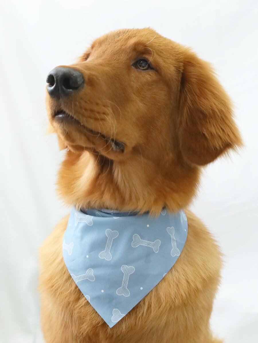 Supet 1入組骨圖案寵物方巾 - 霧霾藍 - 查看 1