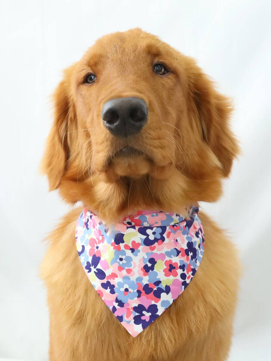 Supet 1 pieza Pañuelo para mascotas con patrón de flor - Multicolor - Ver 1