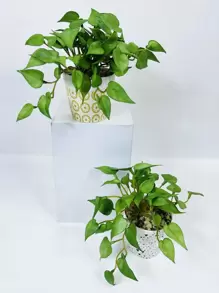 1 pezzo/2 pezzi/4 pezzi/6 pezzi/8 pezzi Mini piante artificiali che sembrano vere, regalo per la Festa di San Valentino