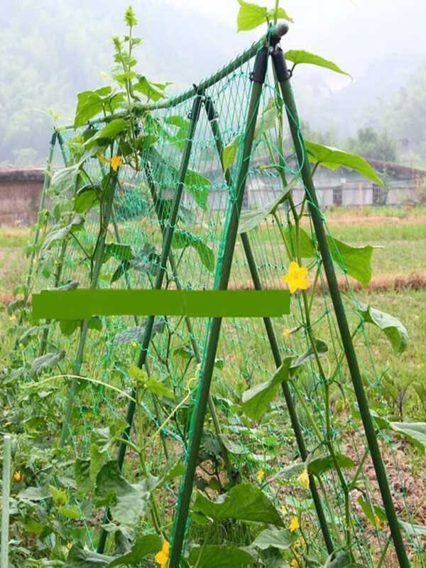 Polyester Pergola For Climbing Plants, Reusable DIY Net For Planting