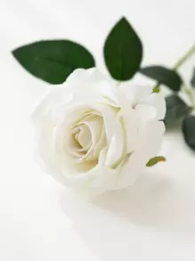 MEHELANY 5 Packs White Rose Artificial Bride Bouquet, Realistic Velvet Fake Roses, Floral Decor, Valentine's Day Gift, Wedding Party, Home Decor, Birthday Gift, Indoor Outdoor Decoration (Note: May Have A Slight Odor, Please Place Near A Window For 1-2 Days Ventilation) - White - View 5