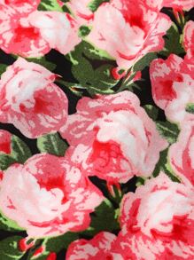 Baby Allover Floral Print Top & Pants - Multicolor - View 8