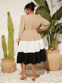 SHEIN CURVE+ Vestido de color combinado de manga farol bajo con fruncido - Multicolor - Ver 3