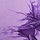 Lilac Purple