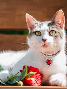 1 pieza Collar para mascotas con diamante de imitación & con adorno de corazón - Multicolor - Ver 1