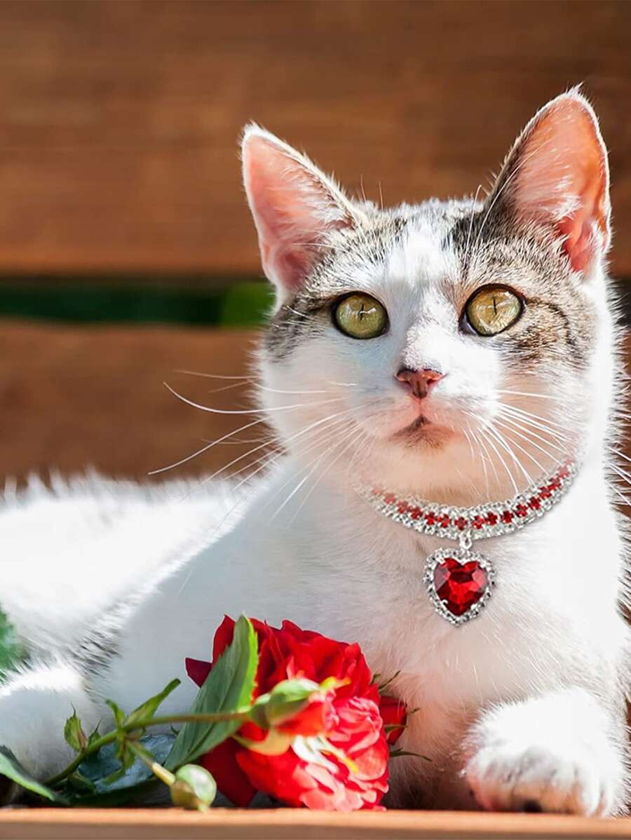 1 pieza Collar para mascotas con diamante de imitación & con adorno de corazón - Multicolor - Ver 1