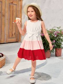 SHEIN Toddler Girls 1pc Colourblock Bow Front Ruffle Hem Dress - Multicolor - View 6