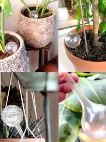 4 Piezas Gran Globo De Riego Automático Para Plantas De Interior/exterior - transparente - Ver 8