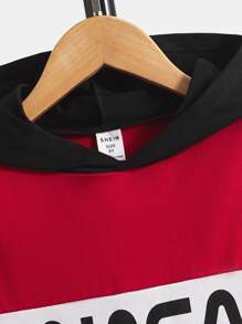 SHEIN Boys Letter Graphic Colourblock Hooded Tee & Shorts - Multicolor - View 4