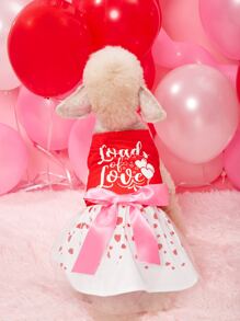 1 pieza Vestido para mascota, vestido con estampado de corazón y lazo en la cintura, vestido de malla, adecuado para perros pequeños/medianos, gatos, disfraz de día de San Valentín, regalo de día de San Valentín - Rojo - Ver 6
