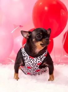 1 pieza Tank de mascota con estampado de leopardo - Multicolor - Ver 4