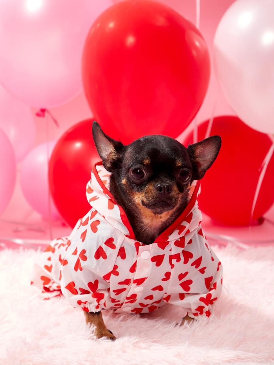 Heart Print Hooded Pet Raincoat - Multicolor - View 1